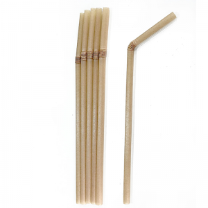 Compostable Sugarcane Bent Straw 