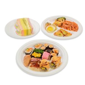  biodegradable sugarcane bagasse food plate
