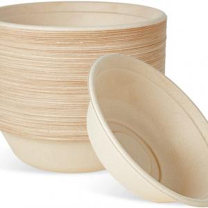 biodegradable sugarcane bowl