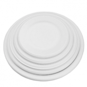 compostable sugarcane bagasse food plate