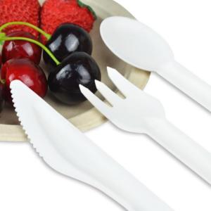 sugarcane compostable knife and fork